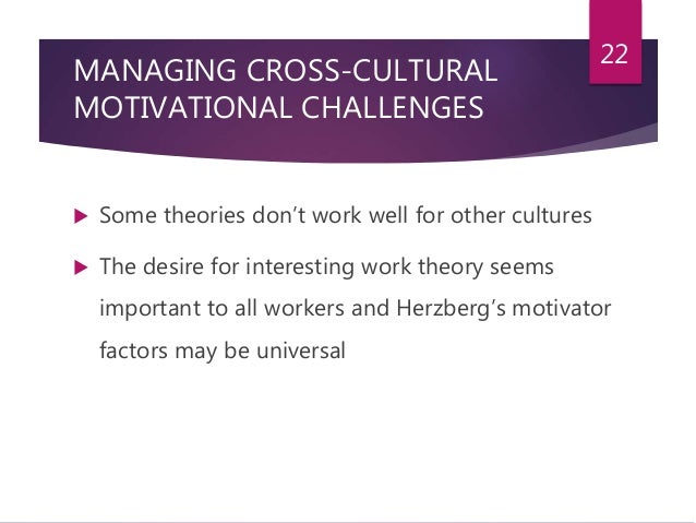 cross cultural motivation ppt cross cultural issues in organizations